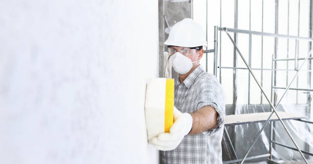 Best Residential Mold Inspection & Testing in USA